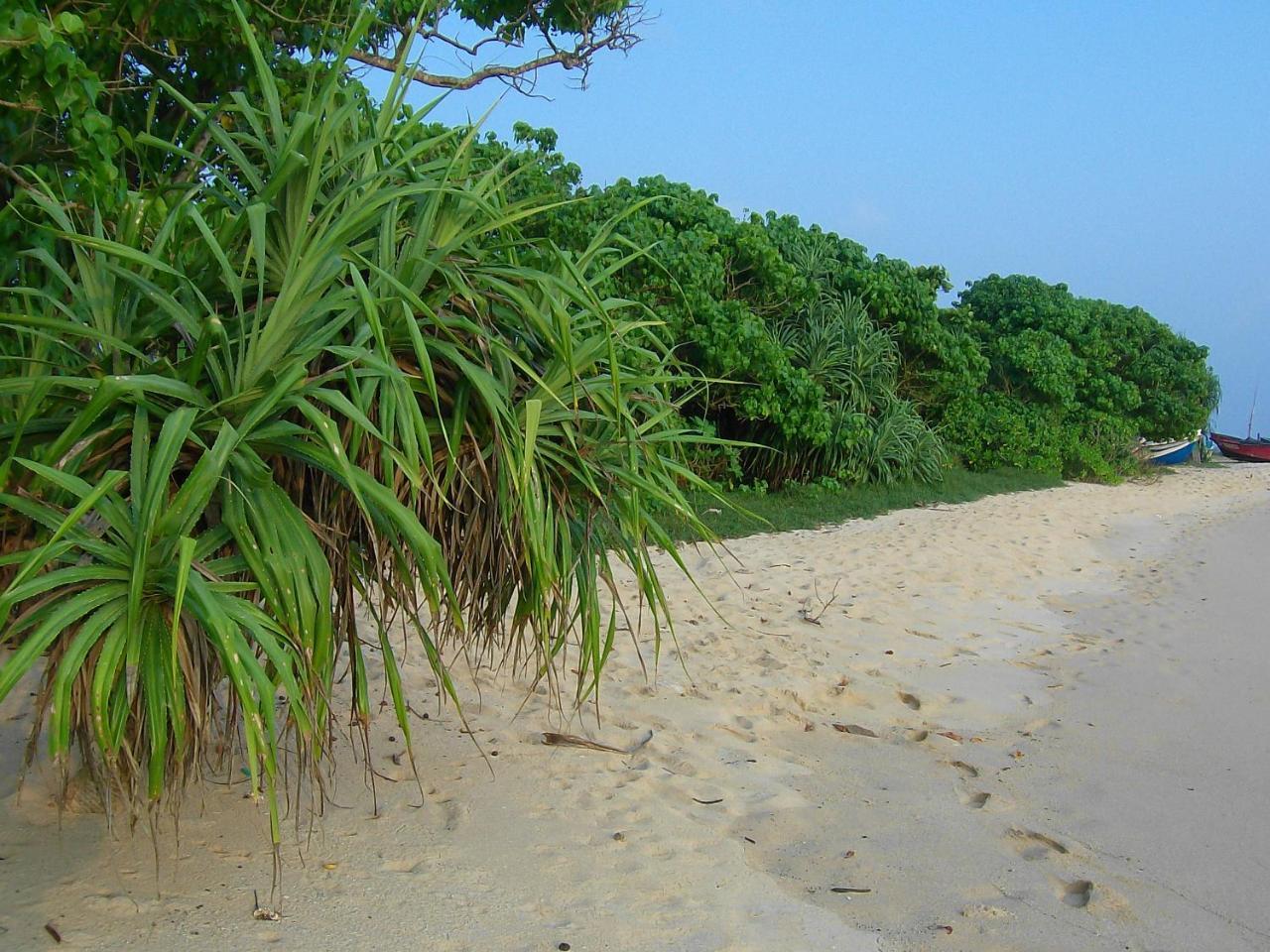 فيليغاما Mendis Cottage المظهر الخارجي الصورة